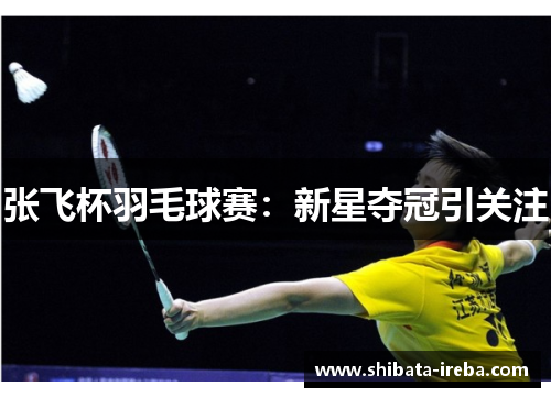 张飞杯羽毛球赛：新星夺冠引关注